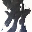 images/galeries/21/vignettes/sD19 15x42 .jpg